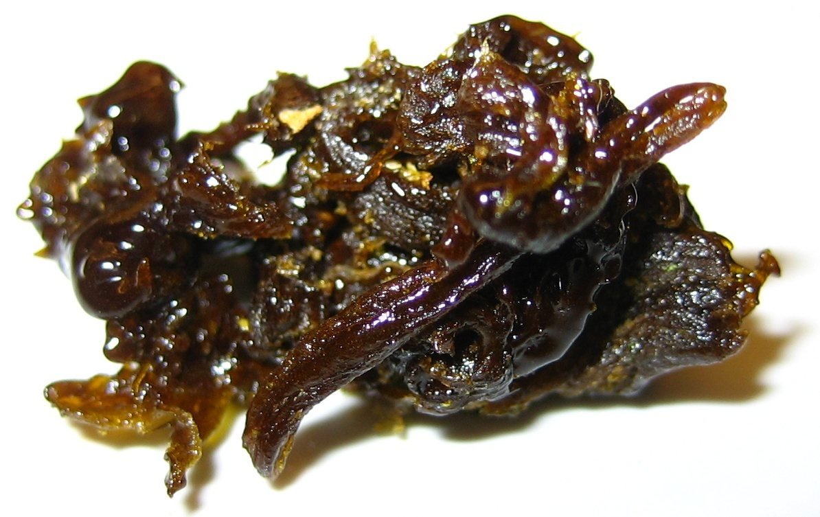 Caviar concentrate